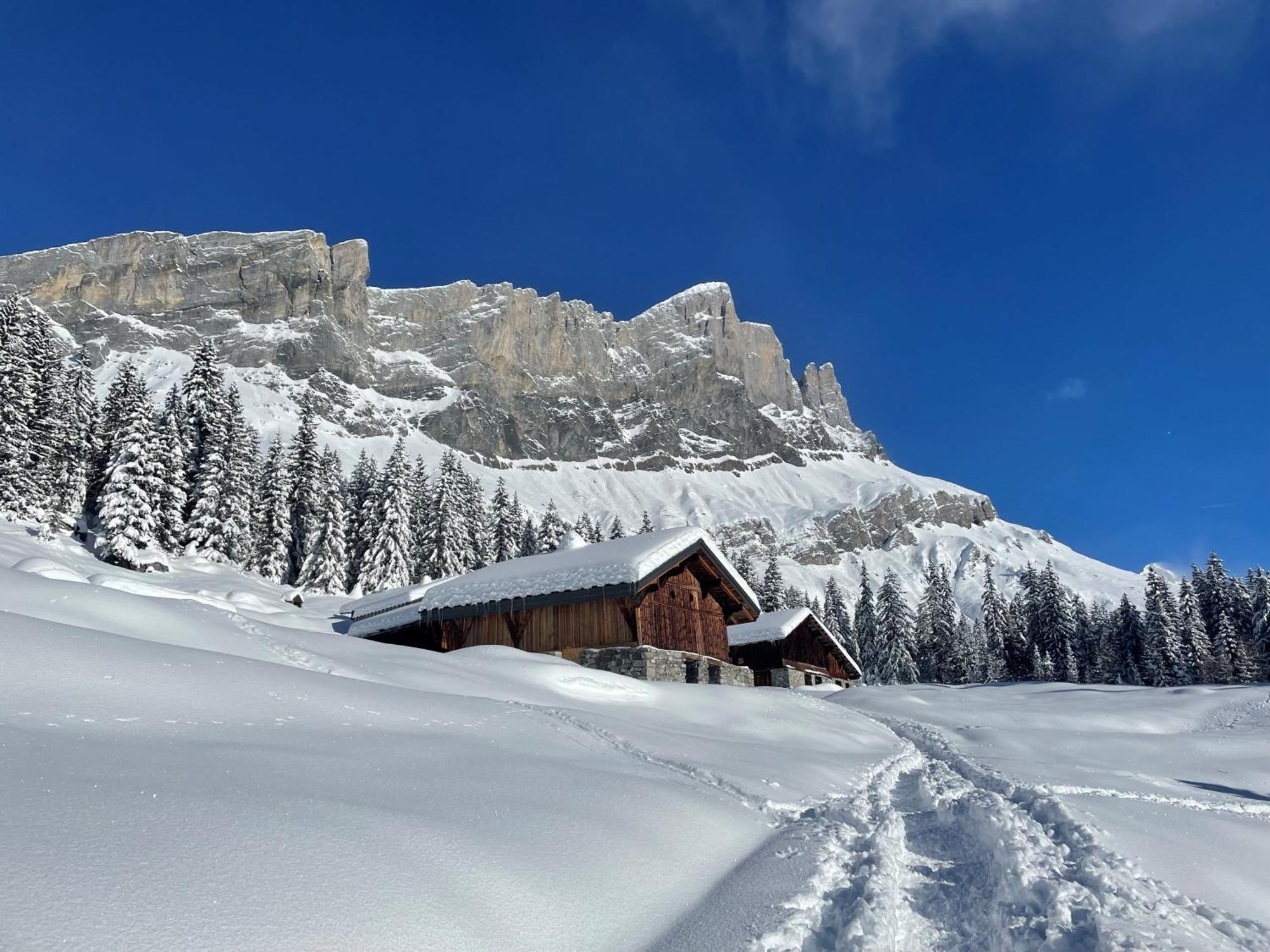 Chalet Du Grand Cerf Servoz Exterior foto